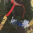Veterans Day, American Legion Post 54