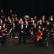 Maine Symphony Orchestra