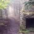 Appalachian Trail