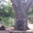 Appalachian Trail