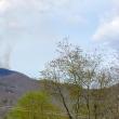 Appalachian Trail
