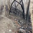 Appalachian Trail