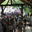 Primo Cubano at Live Edge Music Fest