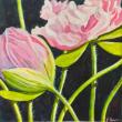 Suzi Thayer
