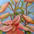 Suzi Thayer
