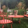 COVE by Knickerbocker Group