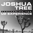 Joshua Tree poster