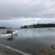 #bird-column, #boothbay register, #jeff and allison wells, #birds, #maine, #hog island, #osprey