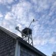 #bird-column, #boothbay register, #jeff and allison wells, #birds, #maine, #hog island, #osprey