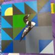 Vicki Reinecke's loon quilt. Courtesy of the artist