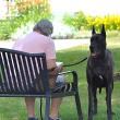 A reader has protection on the Boothbay Harbor Memorial Library lawn. KEVIN BURNHAM/Boothbay Register