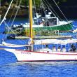 Bay Lady returns to port. KEVIN BURNHAM/Boothbay Register