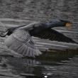 "Cleared For Landing" - Michael Giglia Photography