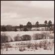 Goranson farm. Courtesy of Emily Whiting