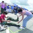 Eleanor Lynch helps cousin Owen O’Toole off with the waders in a relay at Wormfest in Wiscasset June 8. SUSAN JOHNS/Wiscasset Newspaper 