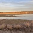 Even temporary wetlands like the authors' "pop-up pond" are important for birds during migration. Courtesy of Allison Wells
