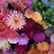 A bunch of dahlias. Courtesy of Veggies to Table
