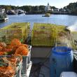 Hauling lobsters on a cool Boothbay Harbor morning. FRITZ FREUDENBERGER/Boothbay Register