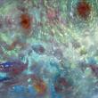 "Bioluminations" by Chris Augusta