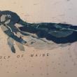 "Seal Pup" by Debe Laughlin. Courtesy of the artist