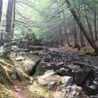 The new preserve includes over 1,600 feet of stream frontage along Deer Meadow Brook, which connects to the Sheepscot River via Marsh River. Courtesy of Coastal Rivers