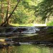 A stepped waterfall is among many interesting features of the new preserve. Courtesy of Coastal Rivers