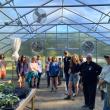 Farm tour at Veggies to Table. Erica Berman photo