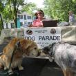 Dog parade 