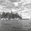 Late Afternoon, Seal Bay_by Susan Cooney