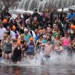 Polar Plunge