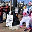 Participants taking part in Saturday's No Kings Rally gathered on both sides of Main Street, Wiscasset. PHIL DI VECE/Wiscasset Newspaper
