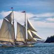 Schooner "Heritage" has attended Windjammer Days in the Boothbay Region for decades. Sean Sheppard photo