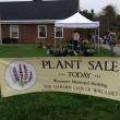 Plant sale 
