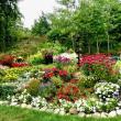 This floral island is just a sample of an artist's garden