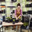 Erica Berman potting up seedlings. Michael Wilson photo