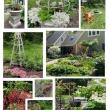 Featured Garden for the July 16 Garden Tour