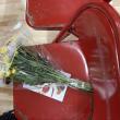 Wiscasset graduation 