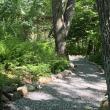 Shaded Natural Woodlands Frame the Pathways