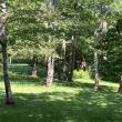 Acres of Walking Paths Overlooking the Ocean