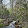 Owners Imagination and Muscle Turn a Neglected Property into a Paradise