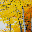 "Midcoast Fall" by Jane Dahmen. Courtesy of the artist