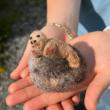Whimsical Felted Sea Critter Workshop at The Barn!