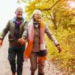 Metro fall senior walk