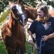 Horses