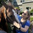 Horses