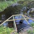 Beaver management system on Golden Ridge Road, Alna. Coreysha Lothrop photo 