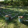 The labyrinth at Edgecomb Community Church. Courtesy photo