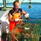 Mike Lewis of East Boothbay lobstering on the Victoria's Secret Mike Lewis of East Boothbay lobstering on the Victoria's Secret
