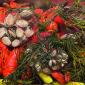 Lobster Bakes to go!
$100 per person
(plus tax & gratuity)
minimum order of 6 people
Please call ahead (207-380-3818)
pick up or locally delivered
Cup New England Clam Chowder
1 ½ Lb Maine Lobster
½ Lb Shellfish of The Day
Corn on The Cobb
New Potatoes
Sausage of The Day
Blueberry Pie Mine Oyster Waterfront Dining & Night Club with LIVE entertainment