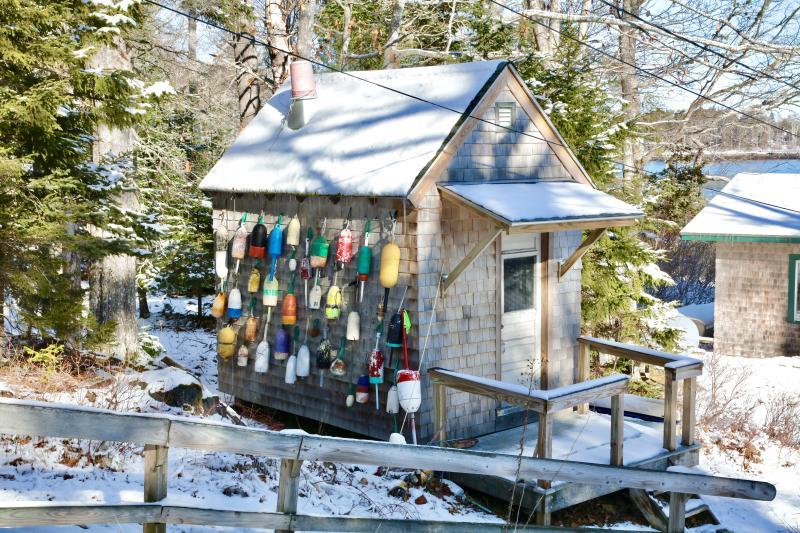 Photo by Robert Mitchell